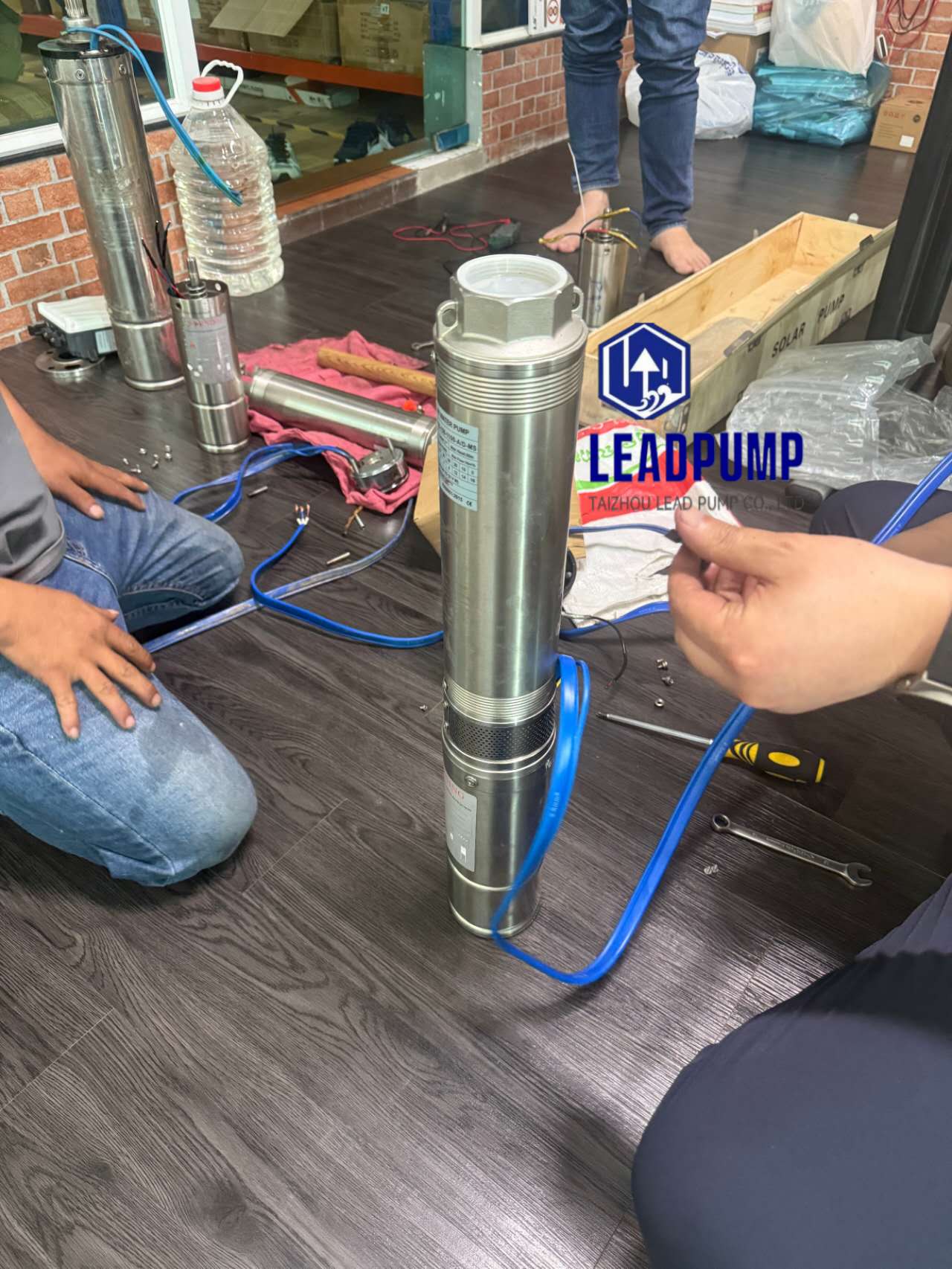 Taizhou Lead Pump co., Ltd kiirehtii Assit -asiakkaan Kaakkois -Aasiassa aurinkoveden pumpun kanssa