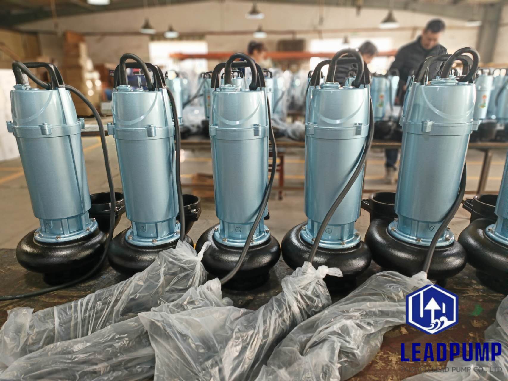 Taizhou Lead Pump CO., Ltd täydentää uusien upotettavien pumppujen tuotantoa Lähi -idän asiakkaalle